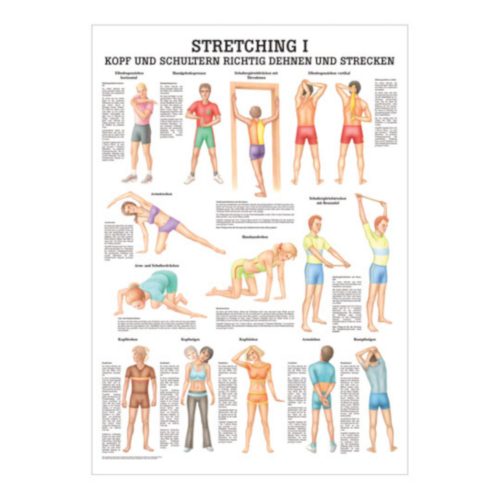 Öffne Miniposter "Stretching''