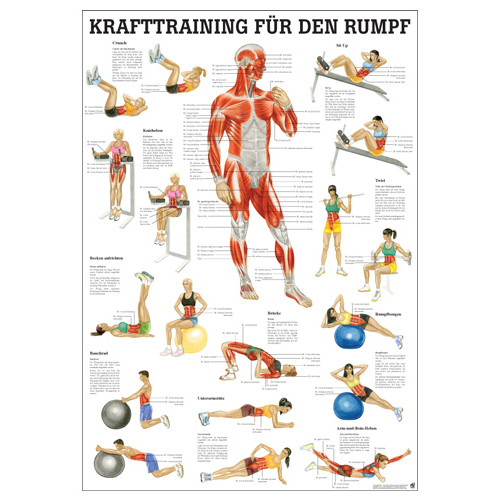 Öffne Mini-Poster "Krafttraining für den Rumpf", laminiert