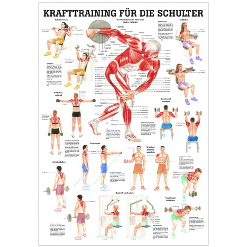 Öffne Mini-Poster "Krafttraining für die Schulter", unlaminiert