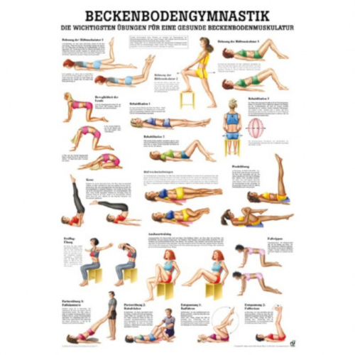 Öffne "Beckenbodenmuskulatur" u. " Beckenbodengymnastik"