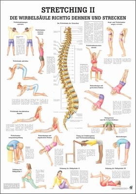 Öffne Miniposter "Stretching''