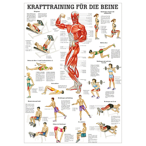 Öffne Mini-Poster "Krafttraining für die Beine", laminiert