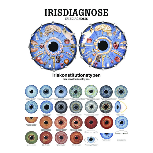 Öffne Miniposter und Poster der "Der Irisdiagnose u. des Auges"
