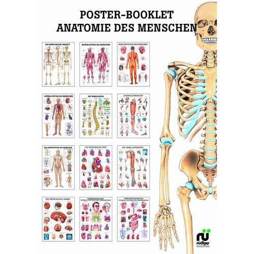 Öffne Mini Poster Booklet "Anatomie des Menschen"