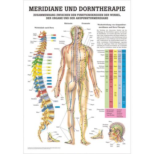 Öffne Mini-Poster "Meridiane und Dorntherapie", laminiert