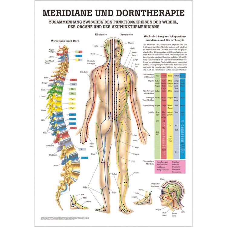 Öffne Lehrtafel "Meridiane und Dorntherapie", unlaminiert