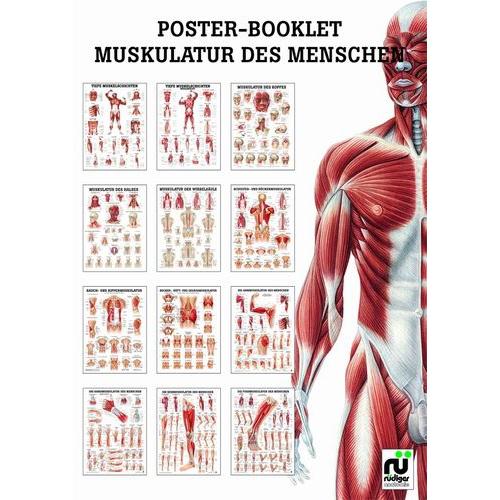 Öffne Mini Poster Booklet "Muskulatur des Menschen"